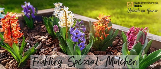 Frühling Spezial: Mulchen