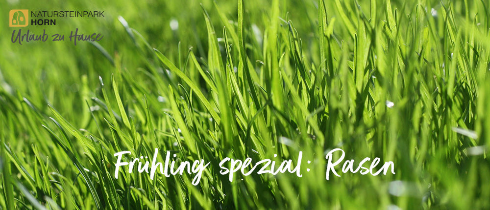 Frühling spezial: Rasen
