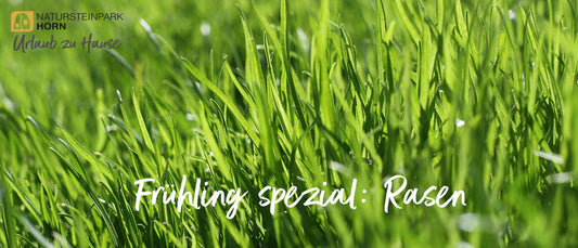 Frühling spezial: Rasen